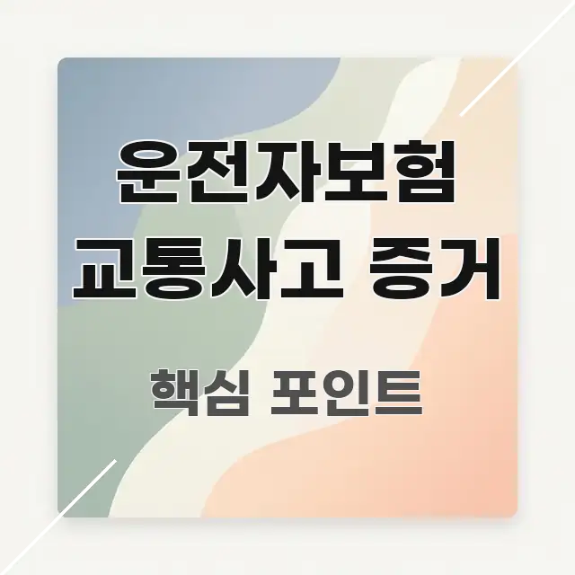 운전자보험 교통사고 증거 실생활에 도움되는 정보 카드 디자인 이미지 - 글 흐름을 돕는 시각 자료