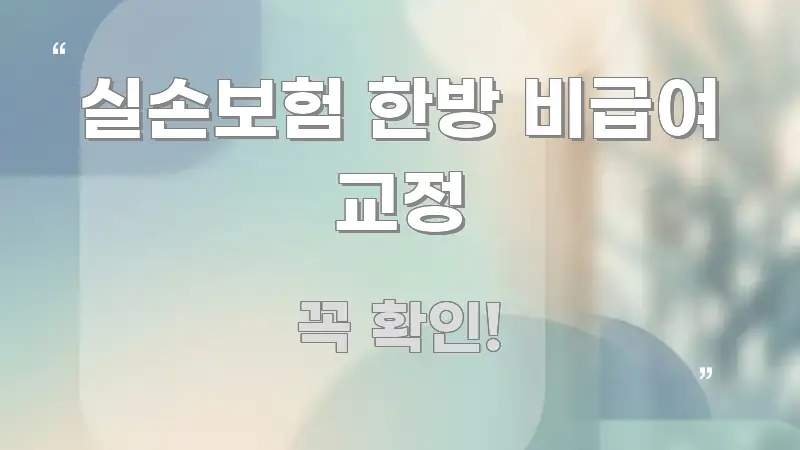 실손보험 한방 비급여 교정 주요 흐름을 설명한 블로그 섹션 구분 이미지 - 참고용 이미지