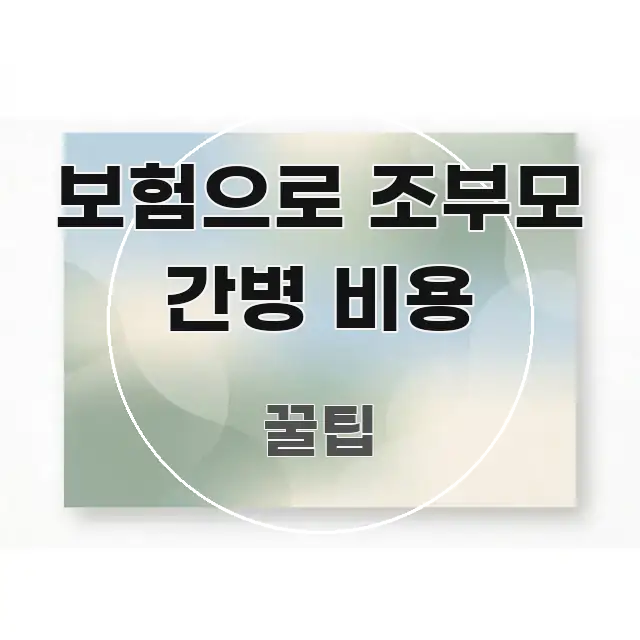 보험으로 조부모 간병 비용 꼼꼼하게 정리된 정보 요약 인포그래픽 이미지 - 가독성을 높이는 이미지