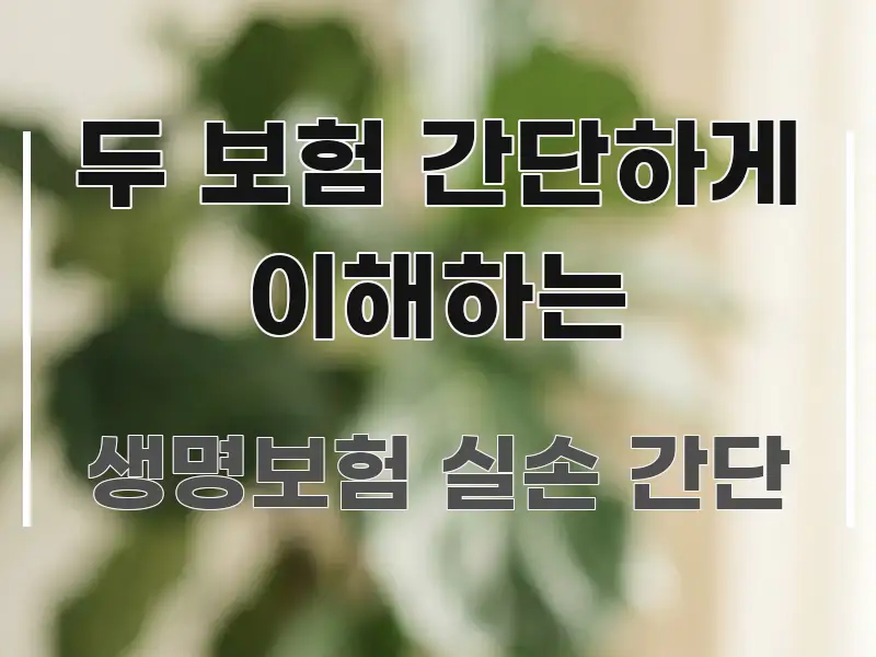 두 보험 간단하게 이해하는 신뢰할 수 있는 정보를 담은 정보 전달형 표지 이미지 - 설명을 돕는 이미지