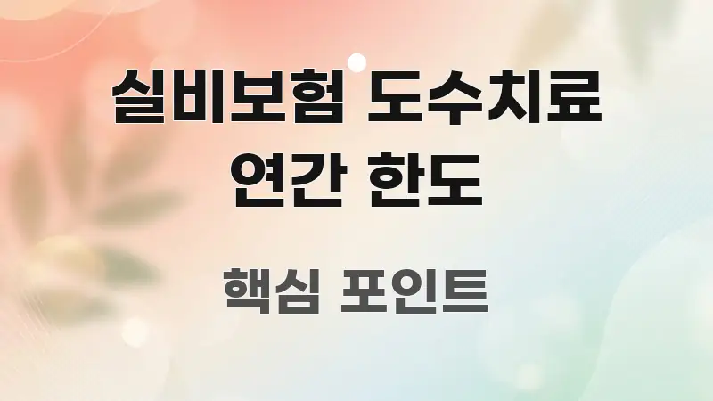 실비보험 도수치료 연간 한도 핵심 요점 중심의 블로그 대표 이미지 - 독자 이해를 위한 이미지