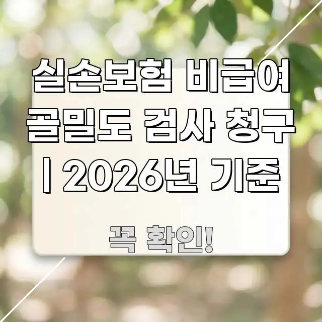 실손보험 비급여 골밀도 검사 청구 | 2026년 기준 핵심 정보 중심의 텍스트 중심 디자인 표지 - 글 흐름을 돕는 시각 자료