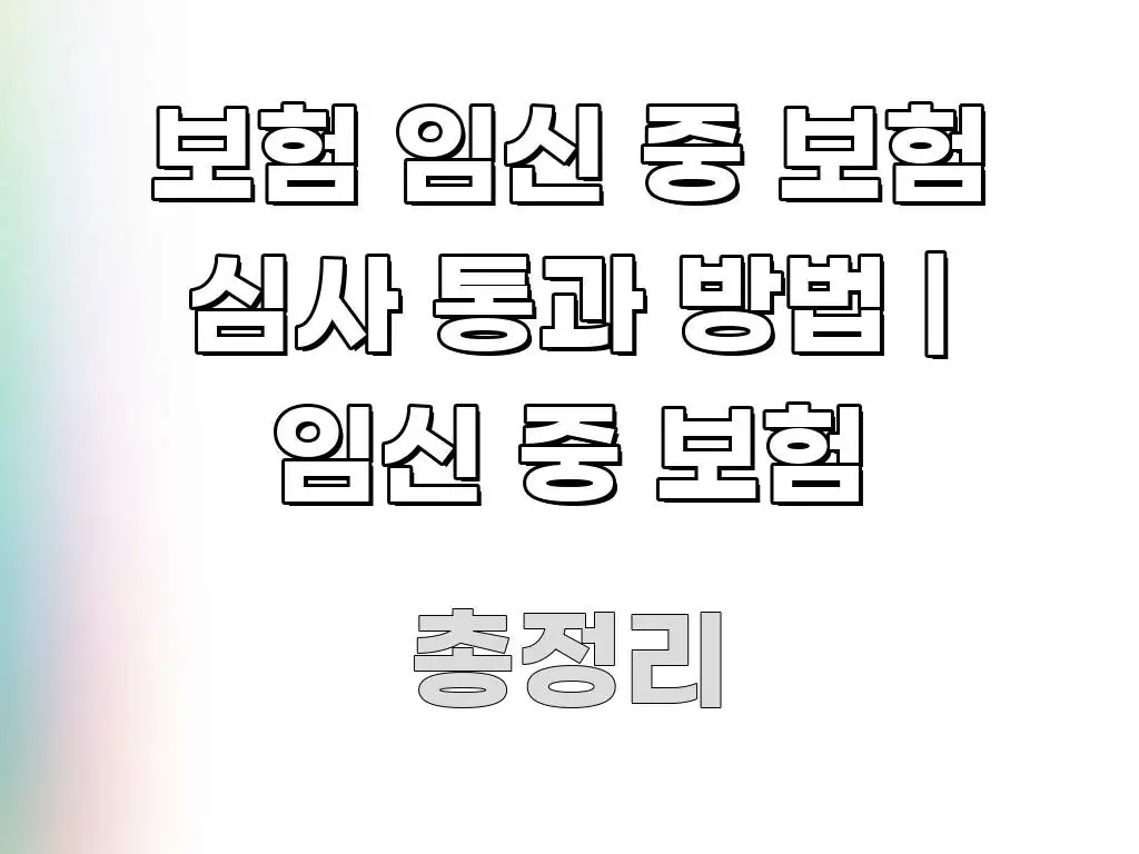 보험 임신 중 보험 심사 통과 방법 | 임신 중 보험 구조적으로 정리된 정보 요약 포스터 - 활용 예시 이미지