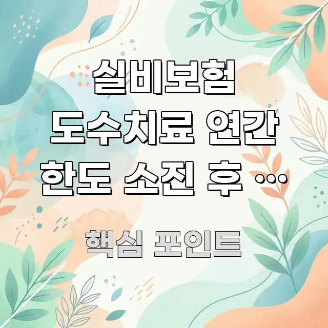 실비보험 도수치료 연간 한도 소진 후 | 도수 한도 다 효율적으로 구성된 정보 요약 포스터