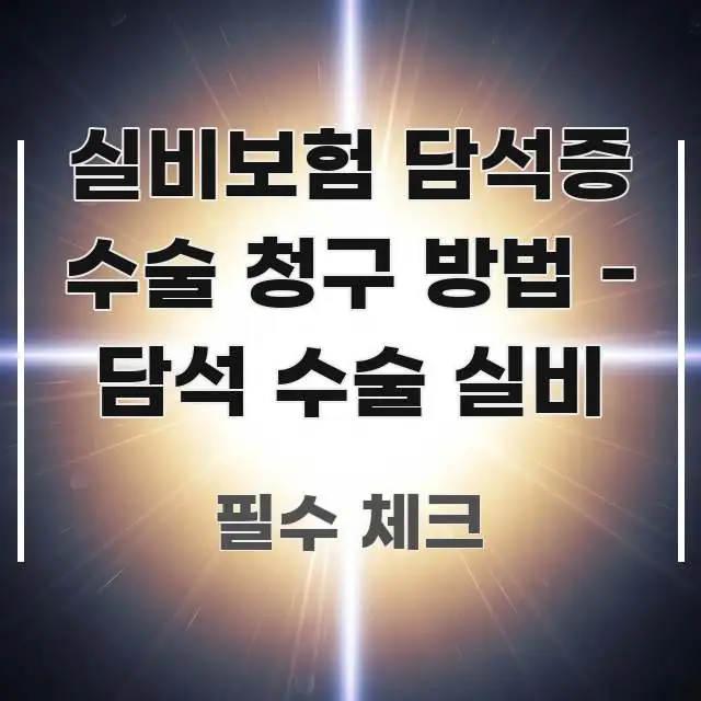 실비보험 담석증 수술 청구 방법 - 담석 수술 실비 요점만 뽑아낸 핵심 키워드 시각화 이미지 - 글 흐름을 돕는 시각 자료