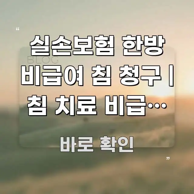 실손보험 한방 비급여 침 청구 | 침 치료 비급여 실손 주요 포인트를 요약한 텍스트 중심 디자인 표지 - 가독성을 높이는 이미지