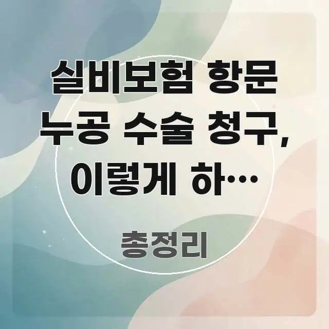 실비보험 항문 누공 수술 청구, 이렇게 하면 300만 간결하고 명료한 핵심 정보 비주얼 - 내용 요약을 위한 이미지