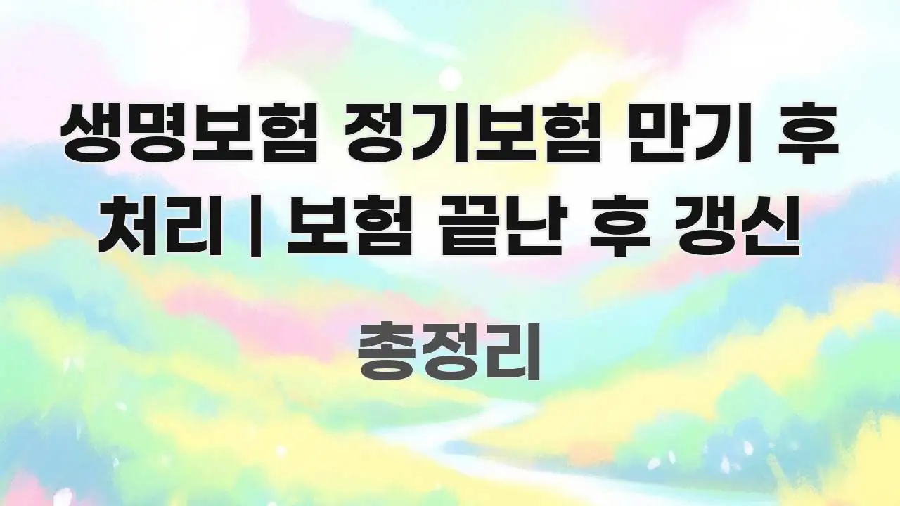 생명보험 정기보험 만기 후 처리 | 보험 끝난 후 갱신 독자를 위해 선별한 블로그 섹션 구분 이미지 - 본문 내용과 연관된 이미지