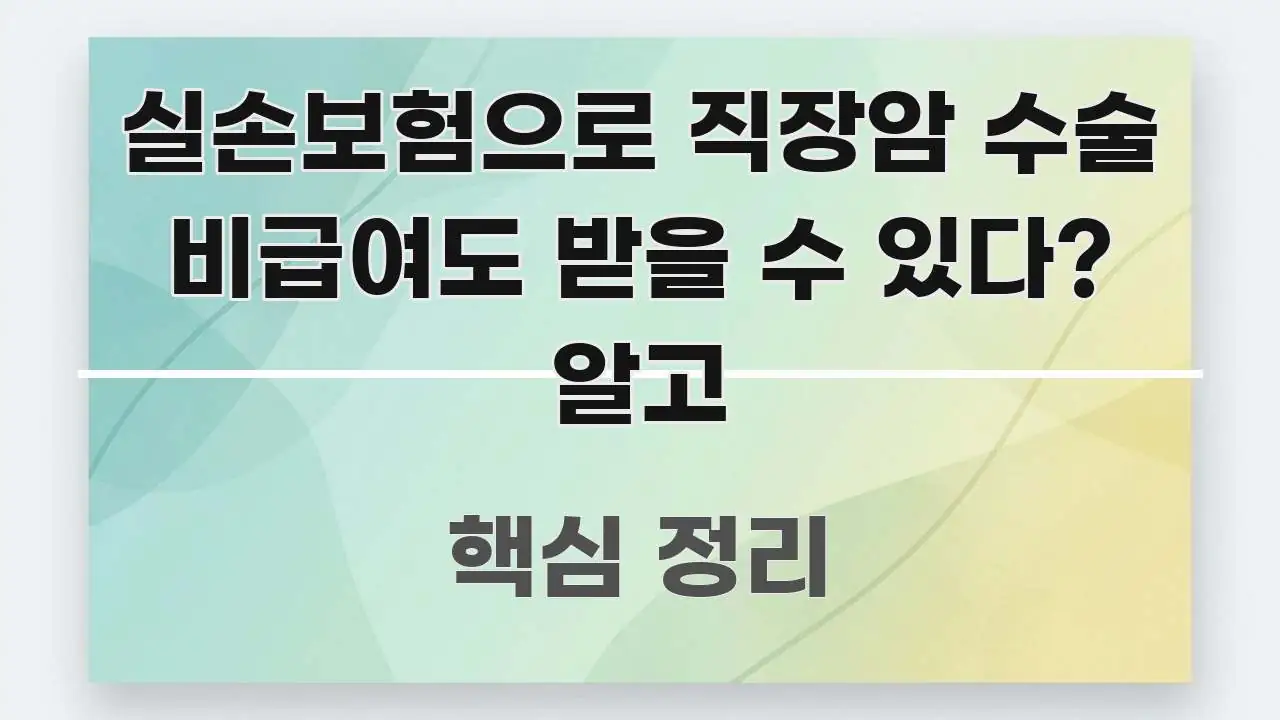 실손보험으로 직장암 수술 비급여도 받을 수 있다? 알고 효율적으로 구성된 블로그 대표 이미지