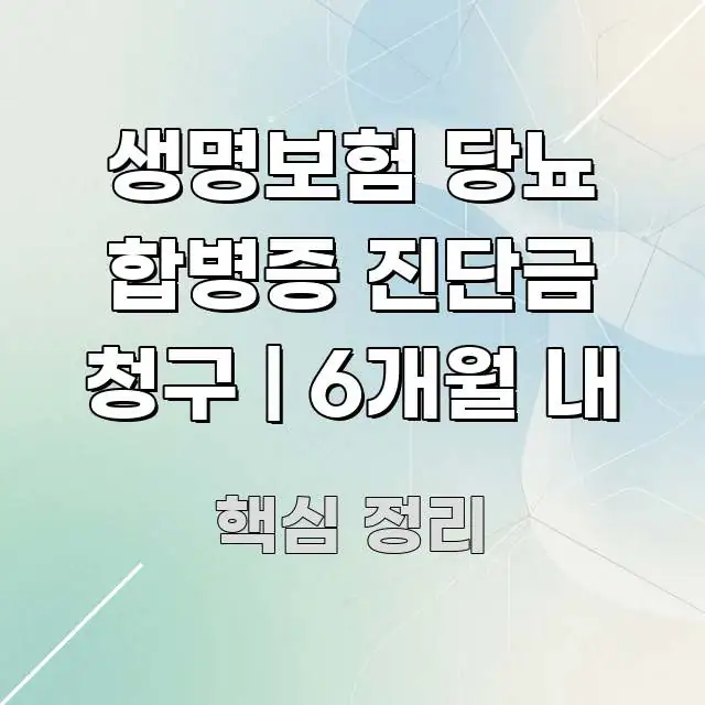 생명보험 당뇨 합병증 진단금 청구 | 6개월 내 구조적으로 정리된 핵심 키워드 시각화 이미지 - 설명을 돕는 이미지