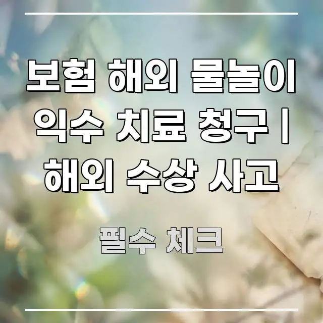 보험 해외 물놀이 익수 치료 청구 | 해외 수상 사고 실생활에 도움되는 정보 요약 포스터 - 설명을 돕는 이미지