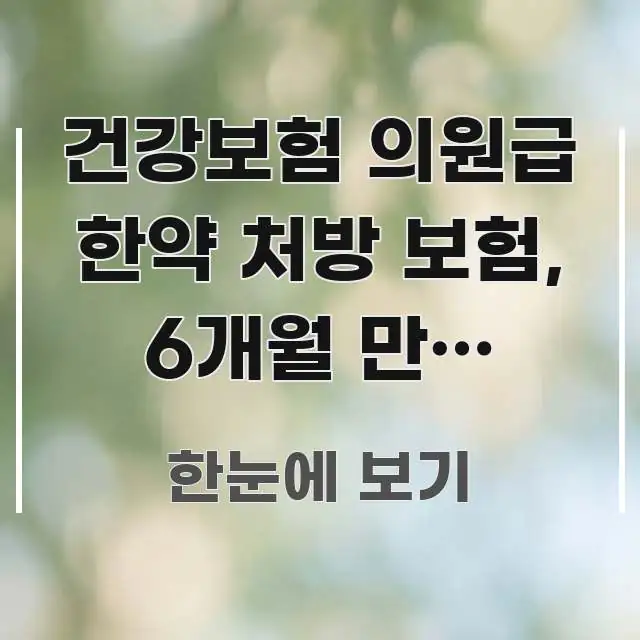건강보험 의원급 한약 처방 보험, 6개월 만에 120만 구조적으로 정리된 핵심 요약 디자인 카드