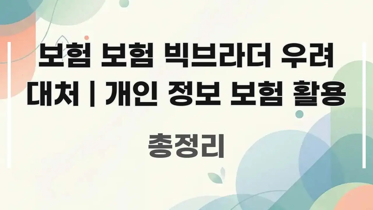 보험 보험 빅브라더 우려 대처 | 개인 정보 보험 활용 바로 활용 가능한 정보 전달형 표지 이미지 - 설명을 돕는 이미지