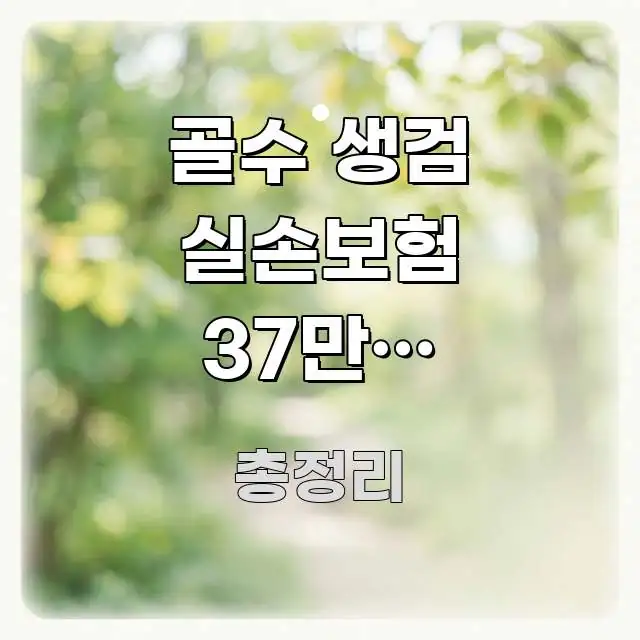 골수 생검 실손보험 37만원 돌려받는 청구 기준 깔끔하게 정리된 블로그용 카드뉴스 썸네일 - 가독성을 높이는 이미지