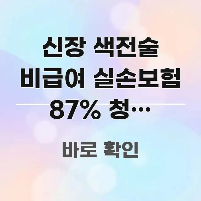 신장 색전술 비급여 실손보험 87% 청구 가능한 3가지 신뢰할 수 있는 정보를 담은 블로그 섹션 구분 이미지