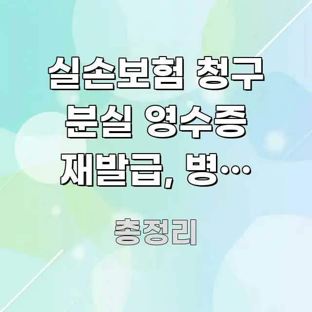 실손보험 청구 분실 영수증 재발급, 병원 영수증 분실 검증된 정보로 구성된 심플 타이포그래피 표지 - 본문 내용과 연관된 이미지
