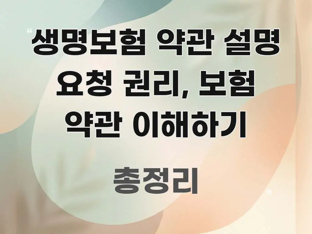 생명보험 약관 설명 요청 권리, 보험 약관 이해하기 중요 내용만 뽑은 스마트 정보 카드 - 참고용 이미지