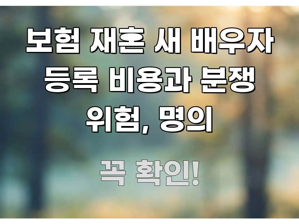 보험 재혼 새 배우자 등록 비용과 분쟁 위험, 명의 신뢰할 수 있는 정보를 담은 깔끔한 인포그래픽 표지 - 독자 이해를 위한 이미지