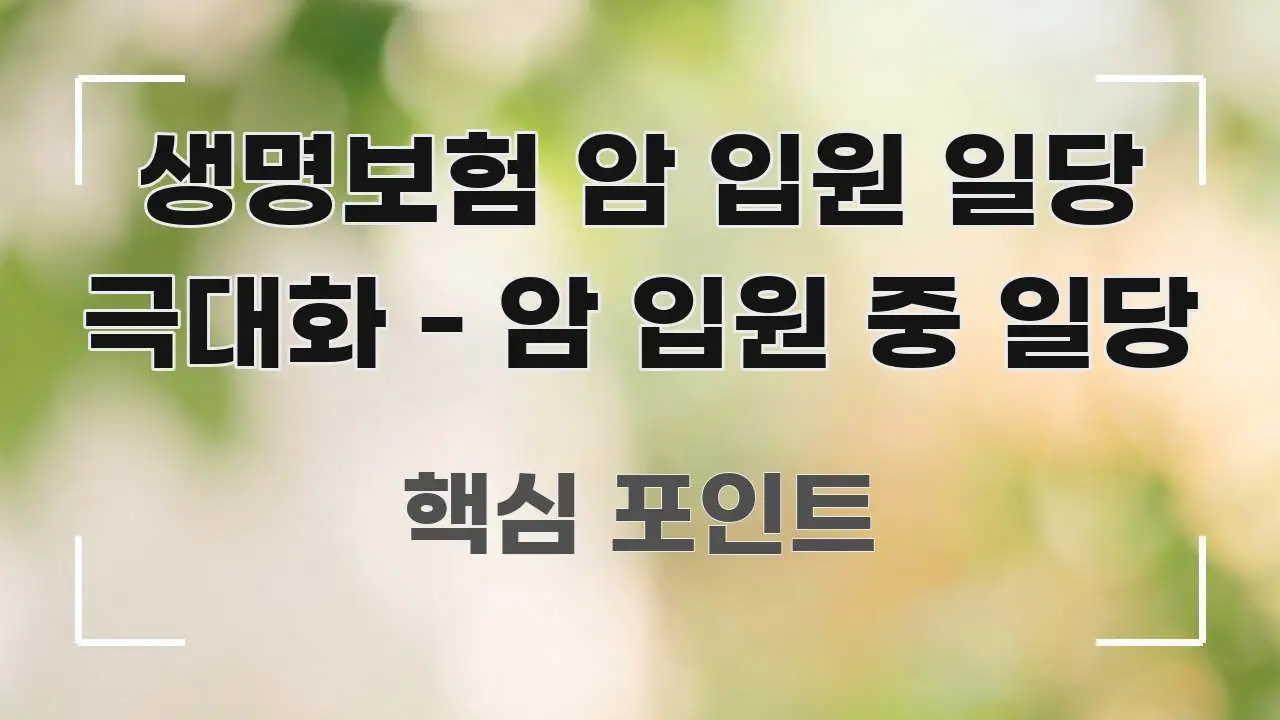 생명보험 암 입원 일당 극대화 - 암 입원 중 일당 한눈에 들어오는 텍스트 기반 블로그 이미지 - 가독성을 높이는 이미지