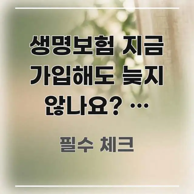 생명보험 지금 가입해도 늦지 않나요? — 조건별 솔직 핵심 요점 중심의 정보 요약 인포그래픽 이미지 - 내용 요약을 위한 이미지