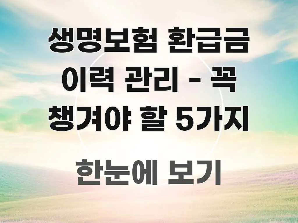 생명보험 환급금 이력 관리 - 꼭 챙겨야 할 5가지 전문가가 선별한 핵심 정보 비주얼 - 글 흐름을 돕는 시각 자료