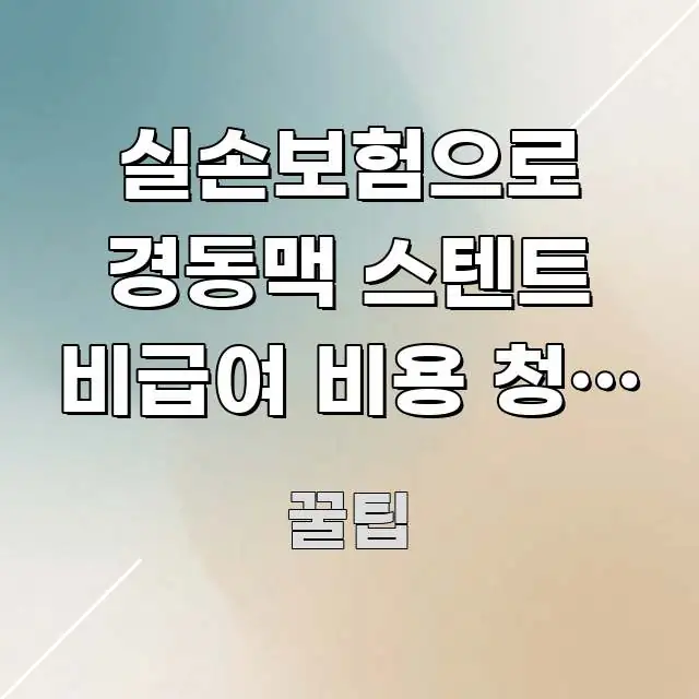 실손보험으로 경동맥 스텐트 비급여 비용 청구 가능할까? 한눈에 들어오는 핵심 정리 썸네일 이미지 - 내용 요약을 위한 이미지