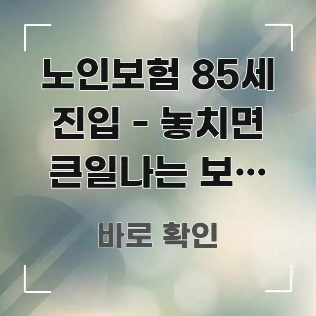 노인보험 85세 진입 - 놓치면 큰일나는 보험 점검 꼭 필요한 정보만 담은 심플 타이포그래피 표지 - 내용 요약을 위한 이미지