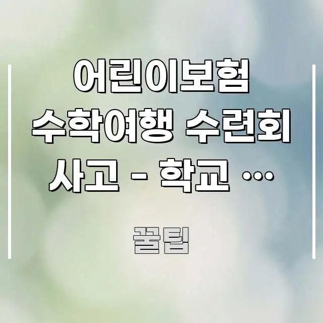 어린이보험 수학여행 수련회 사고 - 학교 외 활동 중 쉽게 읽히는 읽기 좋은 정보 카드 - 내용 요약을 위한 이미지