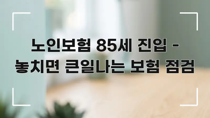 노인보험 85세 진입 - 놓치면 큰일나는 보험 점검 한 번에 이해되는 블로그 섹션 구분 이미지 - 설명을 돕는 이미지