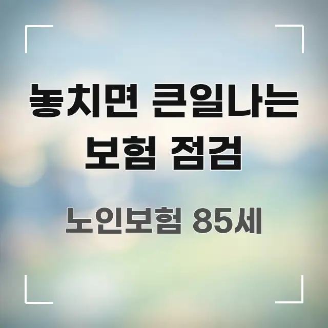 놓치면 큰일나는 보험 점검 이해하기 쉬운 텍스트 중심 디자인 표지 - 독자 이해를 위한 이미지