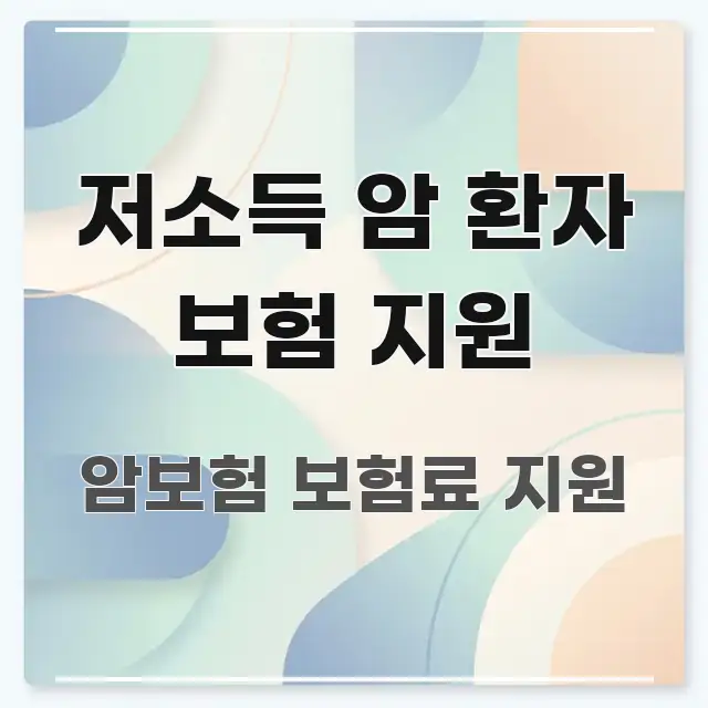 저소득 암 환자 보험 지원 주요 흐름을 설명한 가독성 높은 정보 이미지 - 설명을 돕는 이미지