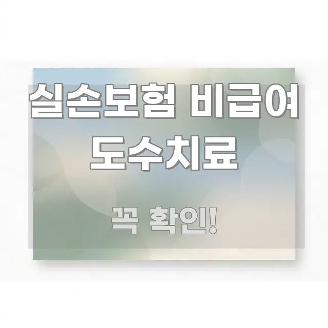 실손보험 비급여 도수치료 중요 내용만 뽑은 정보 요약 인포그래픽 이미지 - 활용 예시 이미지