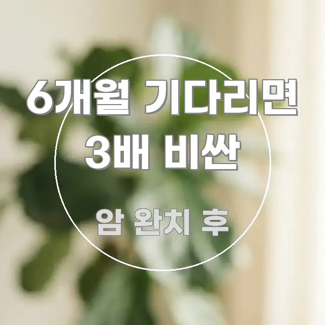 6개월 기다리면 3배 비싼 실생활에 도움되는 핵심 정보 비주얼 - 참고용 이미지