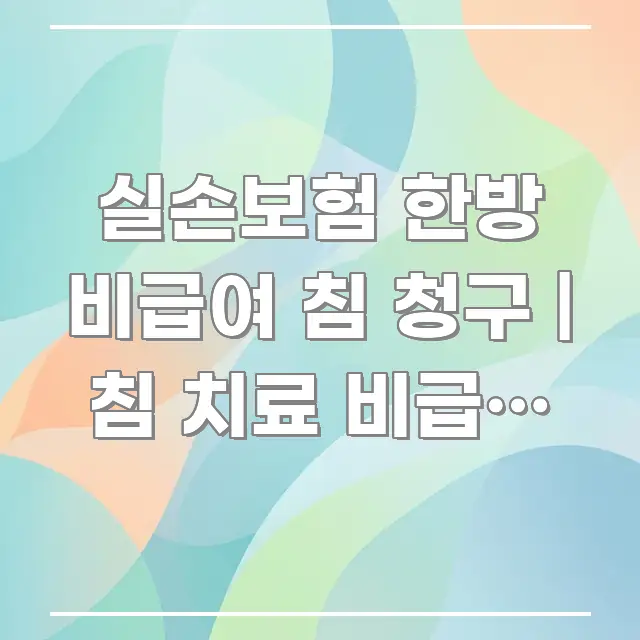 실손보험 한방 비급여 침 청구 | 침 치료 비급여 실손 핵심 정보 중심의 핵심 요약 디자인 카드 - 글 흐름을 돕는 시각 자료
