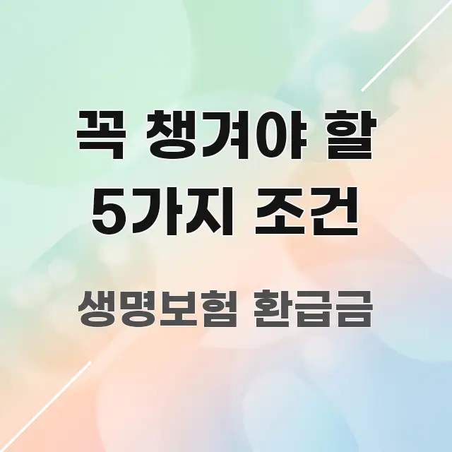 꼭 챙겨야 할 5가지 조건 요점만 뽑아낸 핵심 정보 비주얼