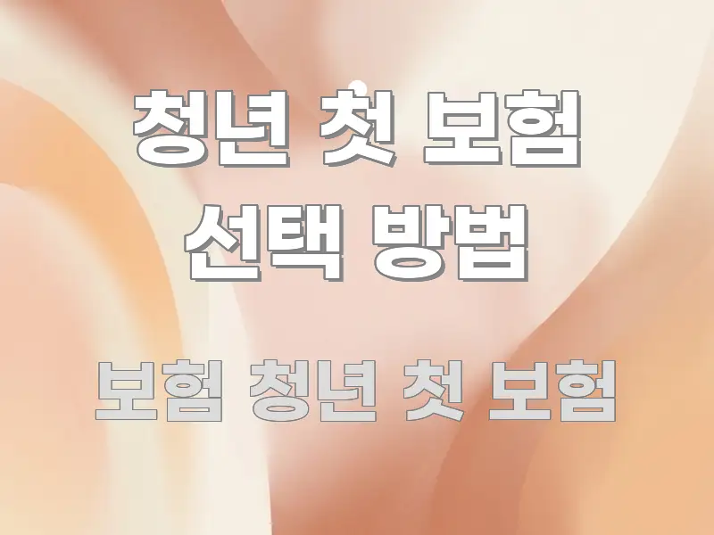 청년 첫 보험 선택 방법 바로 활용 가능한 텍스트 기반 블로그 이미지 - 독자 이해를 위한 이미지