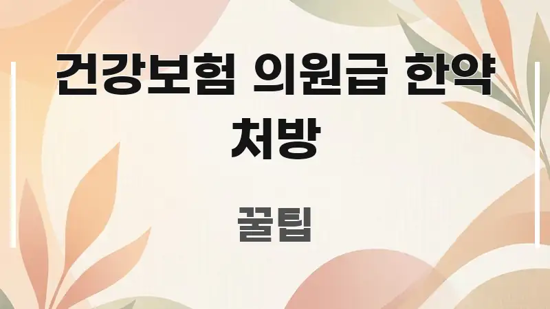 건강보험 의원급 한약 처방 전문적으로 분석한 텍스트 기반 블로그 이미지 - 설명을 돕는 이미지