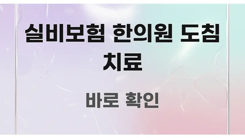실비보험 한의원 도침 치료 주요 포인트를 요약한 텍스트 기반 블로그 이미지