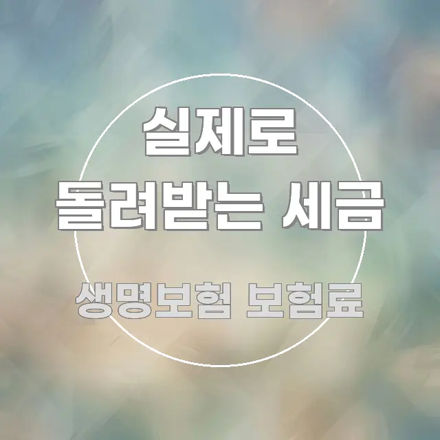 실제로 돌려받는 세금 흥미롭게 구성한 깔끔한 인포그래픽 표지 - 가독성을 높이는 이미지