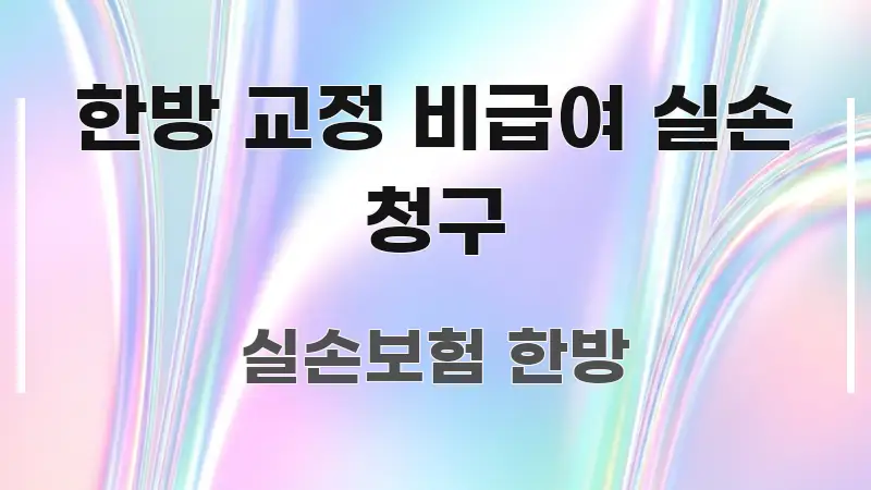 한방 교정 비급여 실손 청구 꼭 알아야 할 정보를 담은 블로그 섹션 구분 이미지 - 참고용 이미지