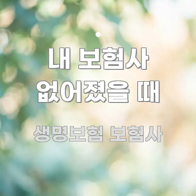 내 보험사 없어졌을 때 주요 포인트를 요약한 카드뉴스 스타일 이미지 - 글 흐름을 돕는 시각 자료