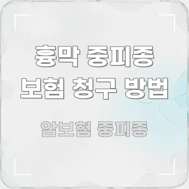 흉막 중피종 보험 청구 방법 꼼꼼하게 정리된 핵심 키워드 시각화 이미지 - 활용 예시 이미지
