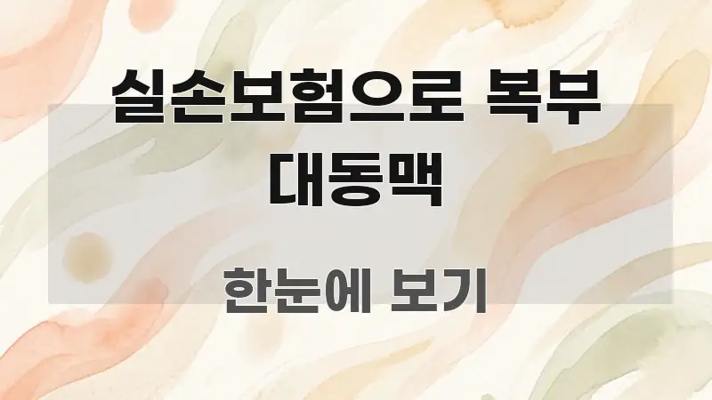 실손보험으로 복부 대동맥 시선을 사로잡는 핵심 정보 비주얼 - 글 흐름을 돕는 시각 자료