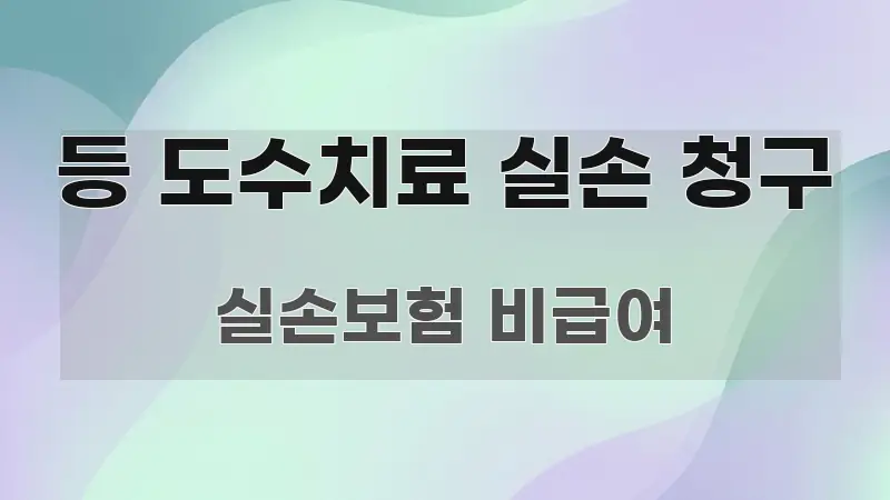 등 도수치료 실손 청구 중요 내용만 뽑은 텍스트 기반 블로그 이미지