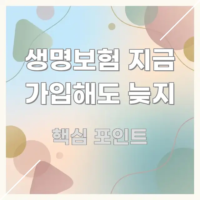 생명보험 지금 가입해도 늦지 핵심 개념을 담은 콘텐츠 요약 표지 이미지 - 내용 요약을 위한 이미지