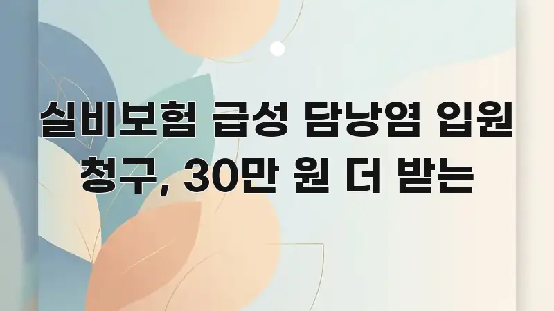 실비보험 급성 담낭염 입원 청구, 30만 원 더 받는 한눈에 들어오는 콘텐츠 요약 표지 이미지 - 독자 이해를 위한 이미지