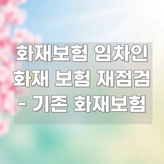 화재보험 임차인 화재 보험 재점검 - 기존 화재보험 핵심 내용을 정리한 핵심 정보 비주얼 - 활용 예시 이미지