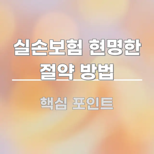 실손보험 현명한 절약 방법 꼼꼼하게 정리된 정보 정리 카드 이미지 - 독자 이해를 위한 이미지