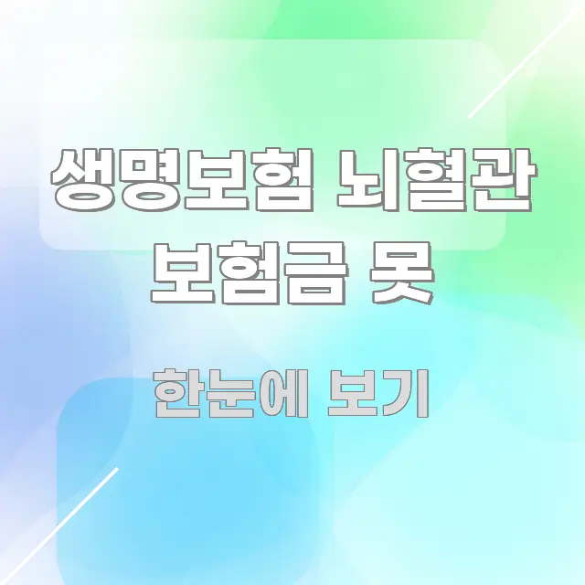 생명보험 뇌혈관 보험금 못 꼼꼼하게 정리된 블로그 포스트 커버 이미지
