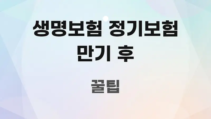 생명보험 정기보험 만기 후 꼼꼼하게 정리된 미니멀 블로그 썸네일 - 글 흐름을 돕는 시각 자료